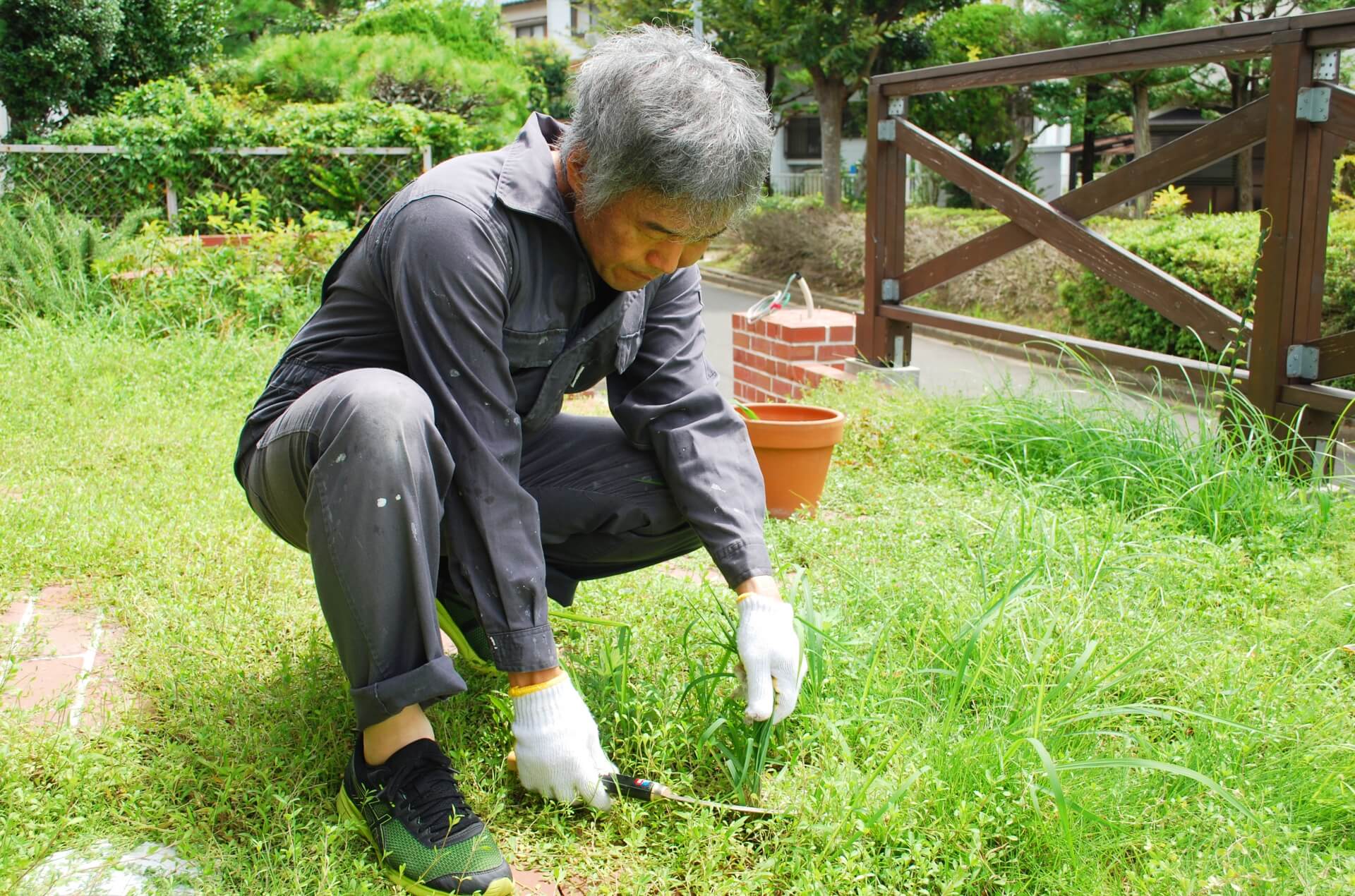 草取りのいらない庭にしたい 庭の雑草を生えなくする方法9選 ドライテック東京